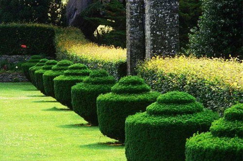 成都最大規模苗木批發供應基地與人工智能應用軟件開發的融合創新